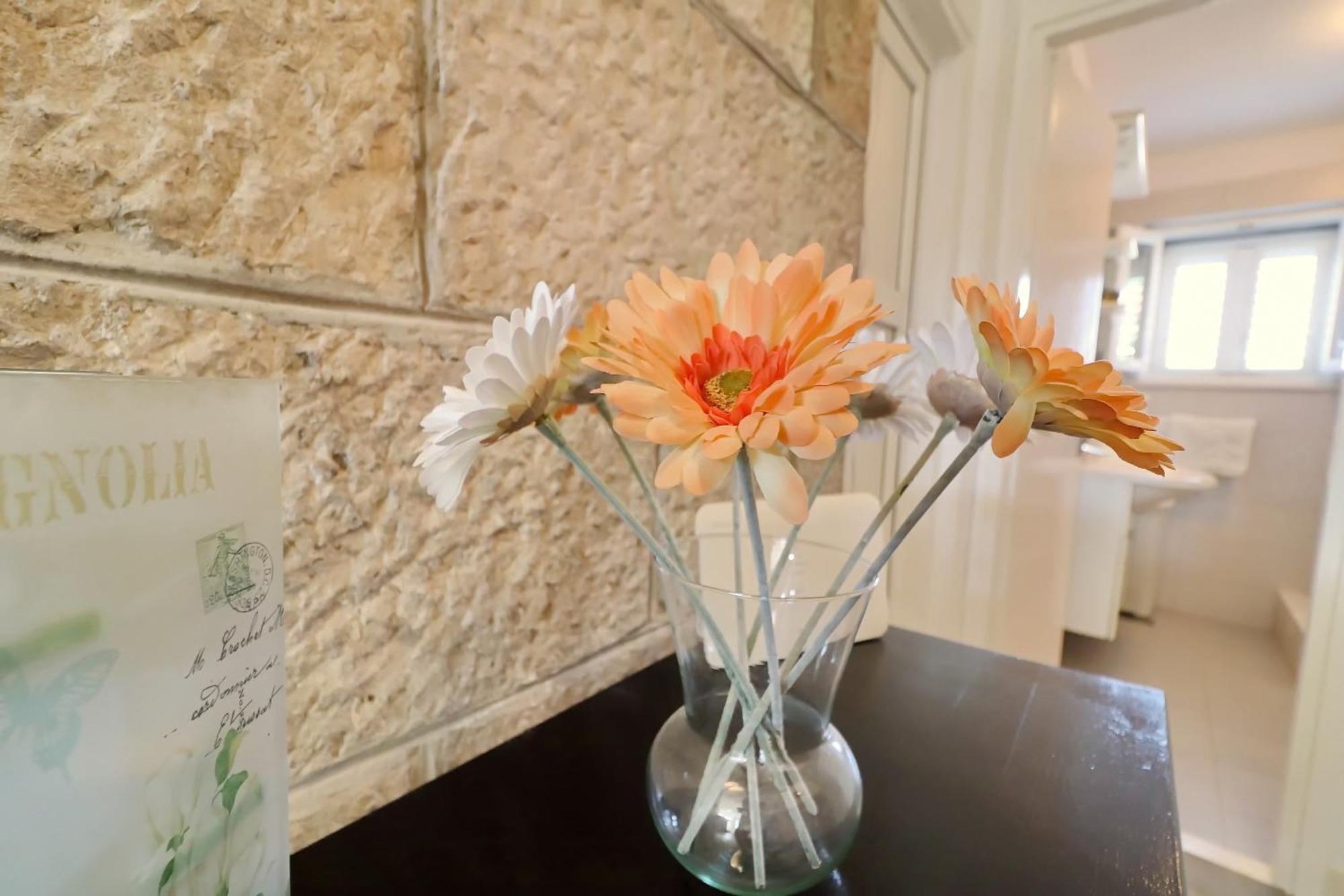 Villa Ivana Zrnovo エクステリア 写真